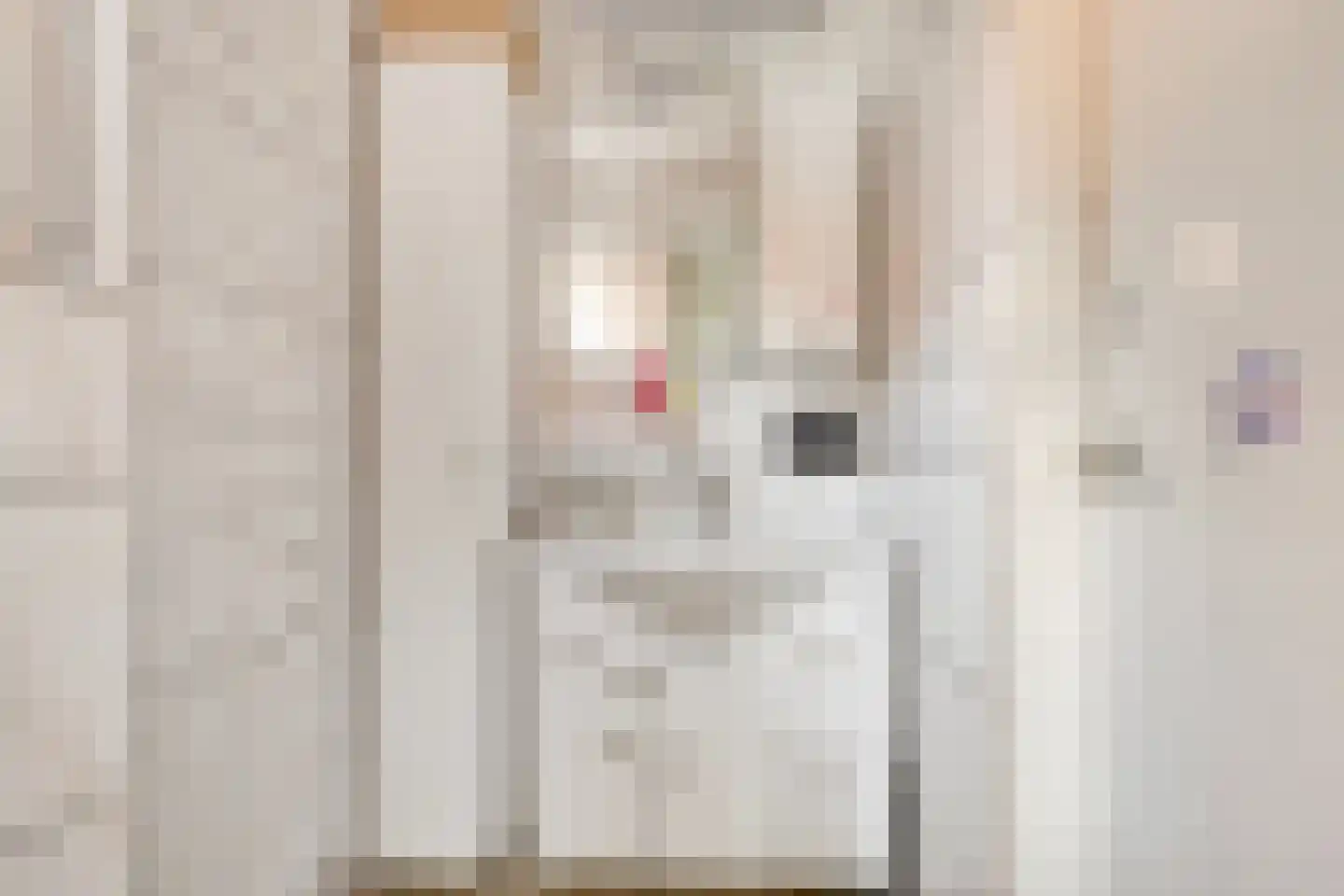 Dokter Harm Brouwerstraat D 12 Nieuwe Pekela thumbnail 23