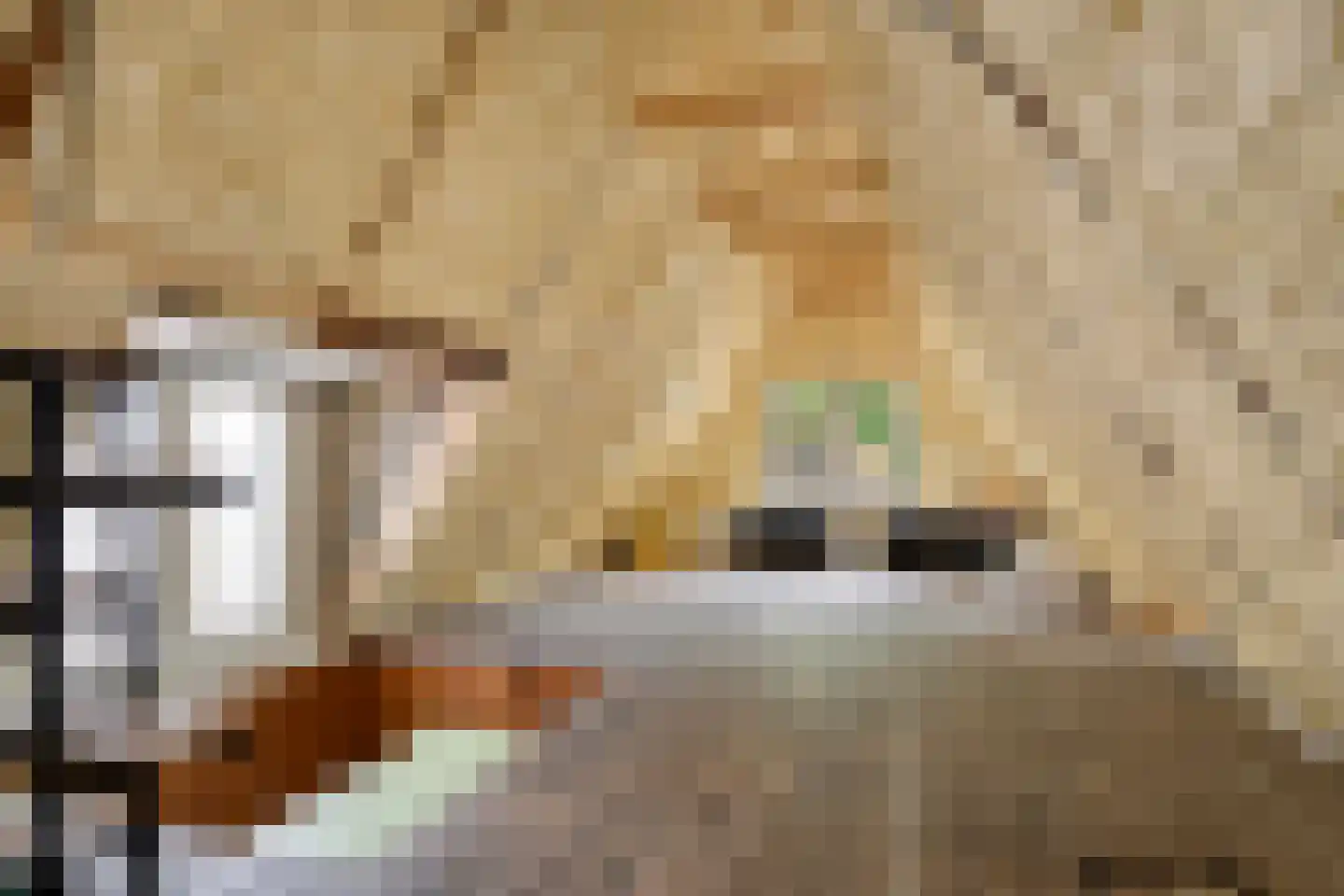 Dokter Harm Brouwerstraat D 12 Nieuwe Pekela thumbnail 29