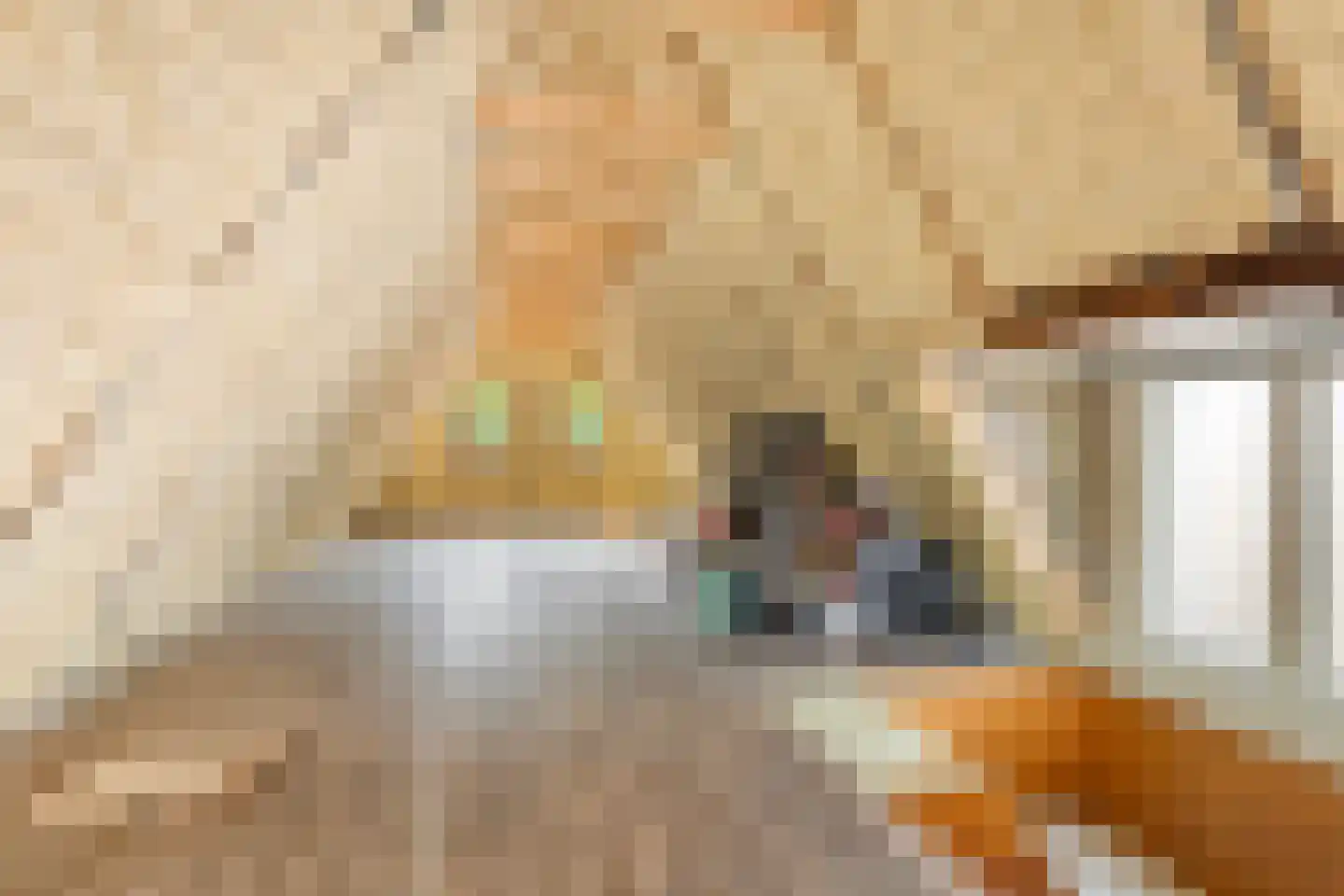 Dokter Harm Brouwerstraat D 12 Nieuwe Pekela thumbnail 30