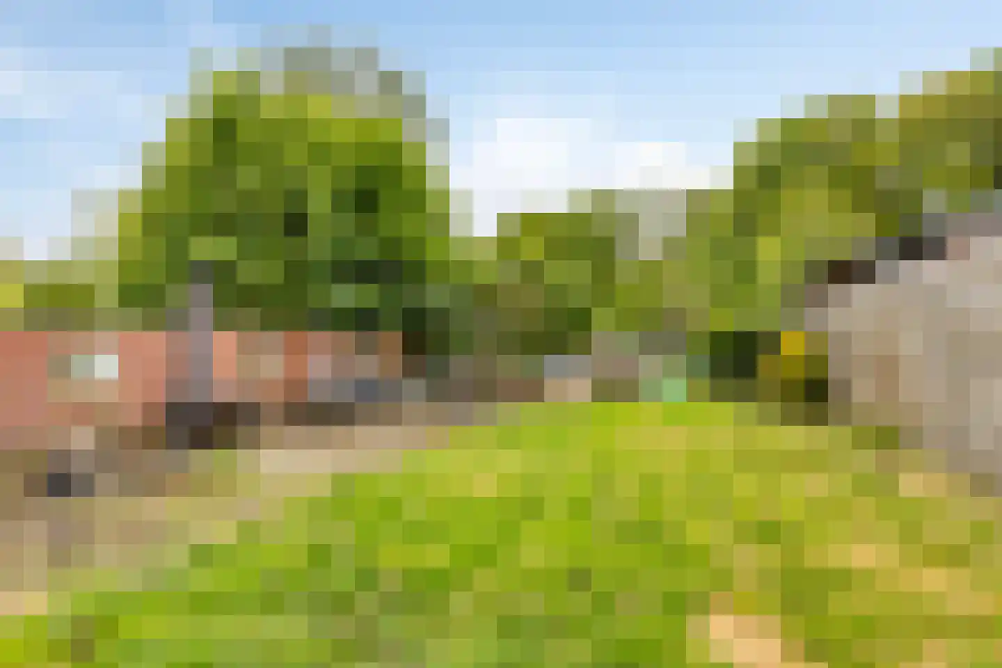 Dokter Harm Brouwerstraat D 12 Nieuwe Pekela thumbnail 32