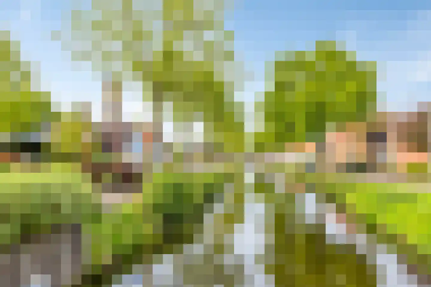 Dokter Harm Brouwerstraat D 12 Nieuwe Pekela thumbnail 38