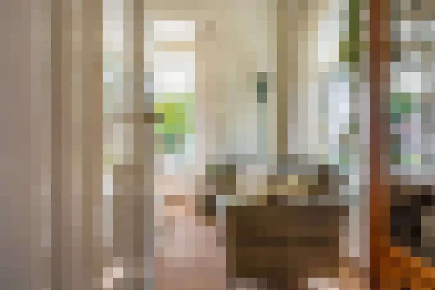 Dokter Harm Brouwerstraat D 17 Nieuwe Pekela thumbnail 16