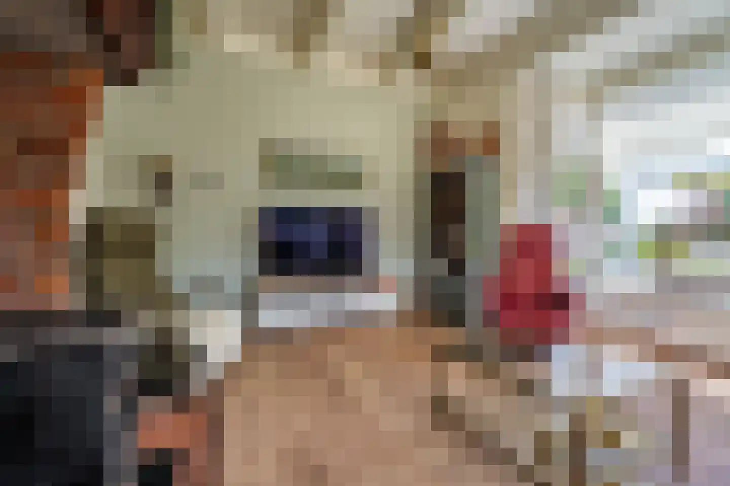 Dokter Harm Brouwerstraat D 17 Nieuwe Pekela thumbnail 18