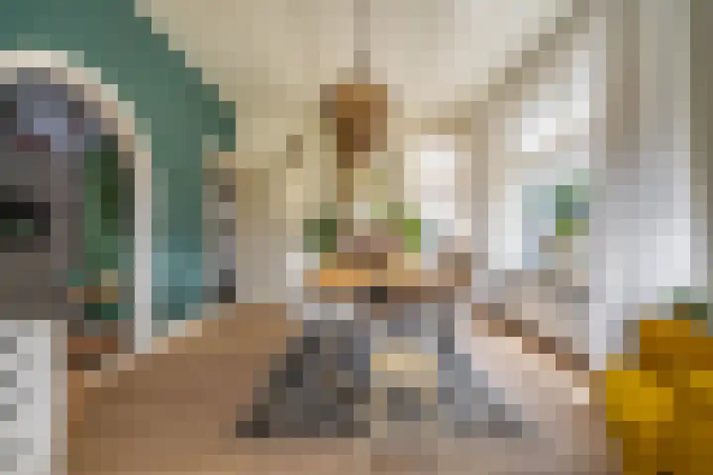 Dokter Harm Brouwerstraat D 17 Nieuwe Pekela thumbnail 24