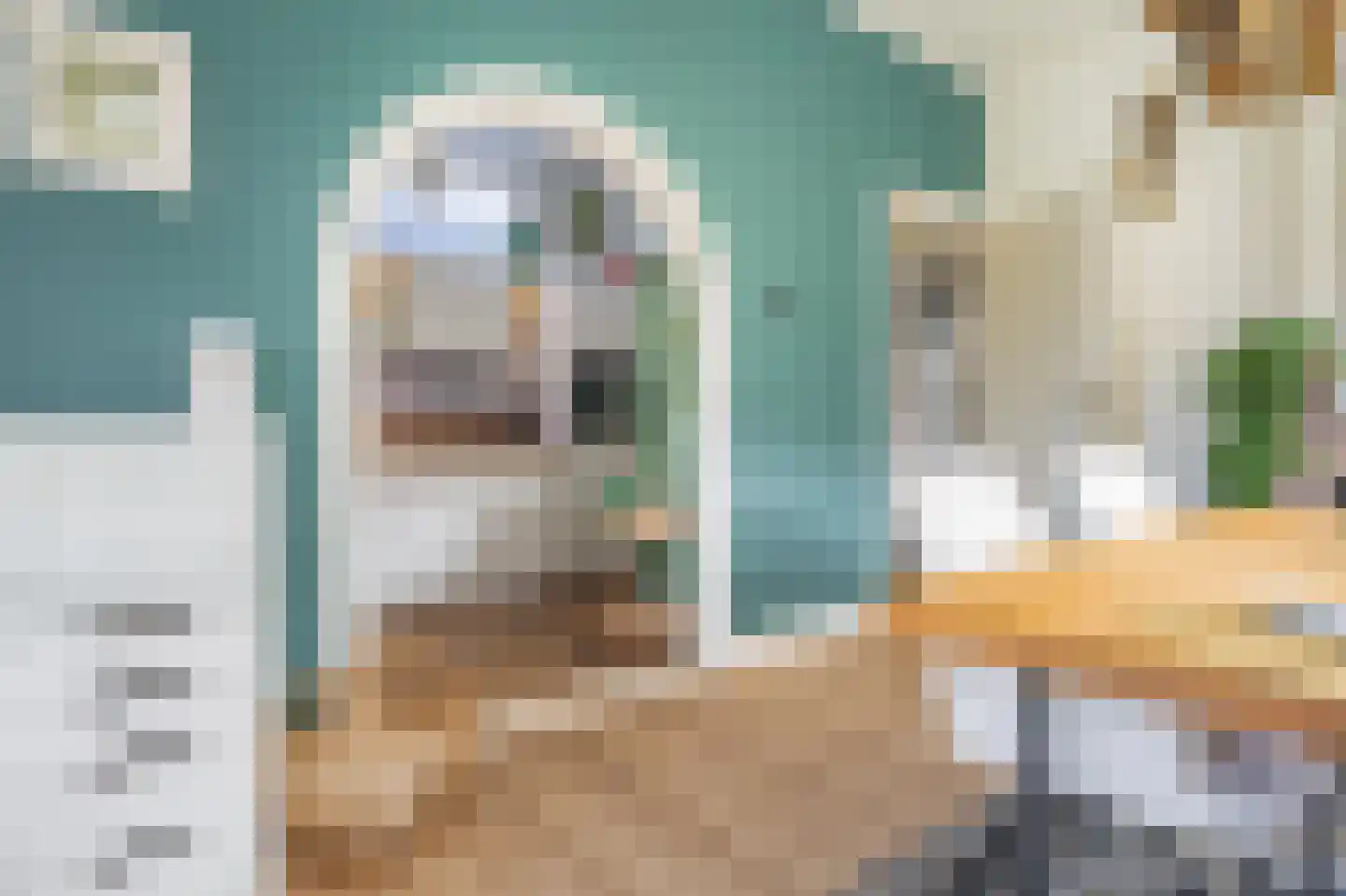 Dokter Harm Brouwerstraat D 17 Nieuwe Pekela thumbnail 25