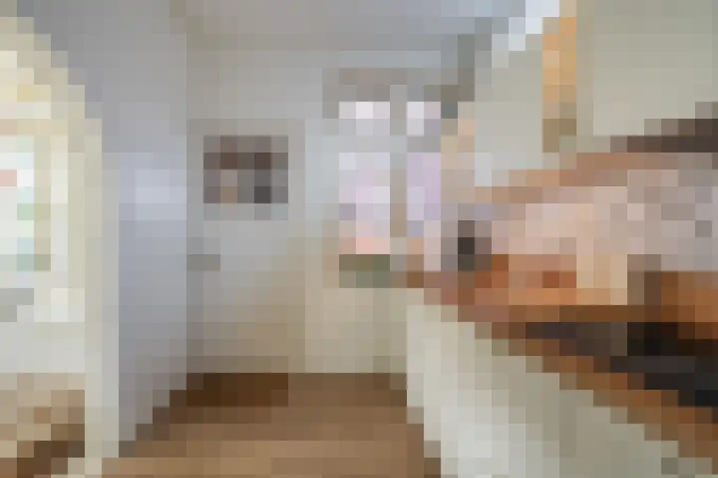 Dokter Harm Brouwerstraat D 17 Nieuwe Pekela thumbnail 28