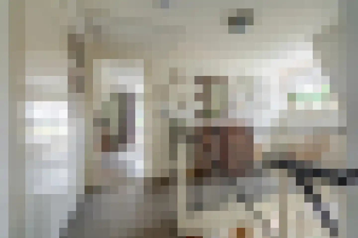 Dokter Harm Brouwerstraat D 17 Nieuwe Pekela thumbnail 35