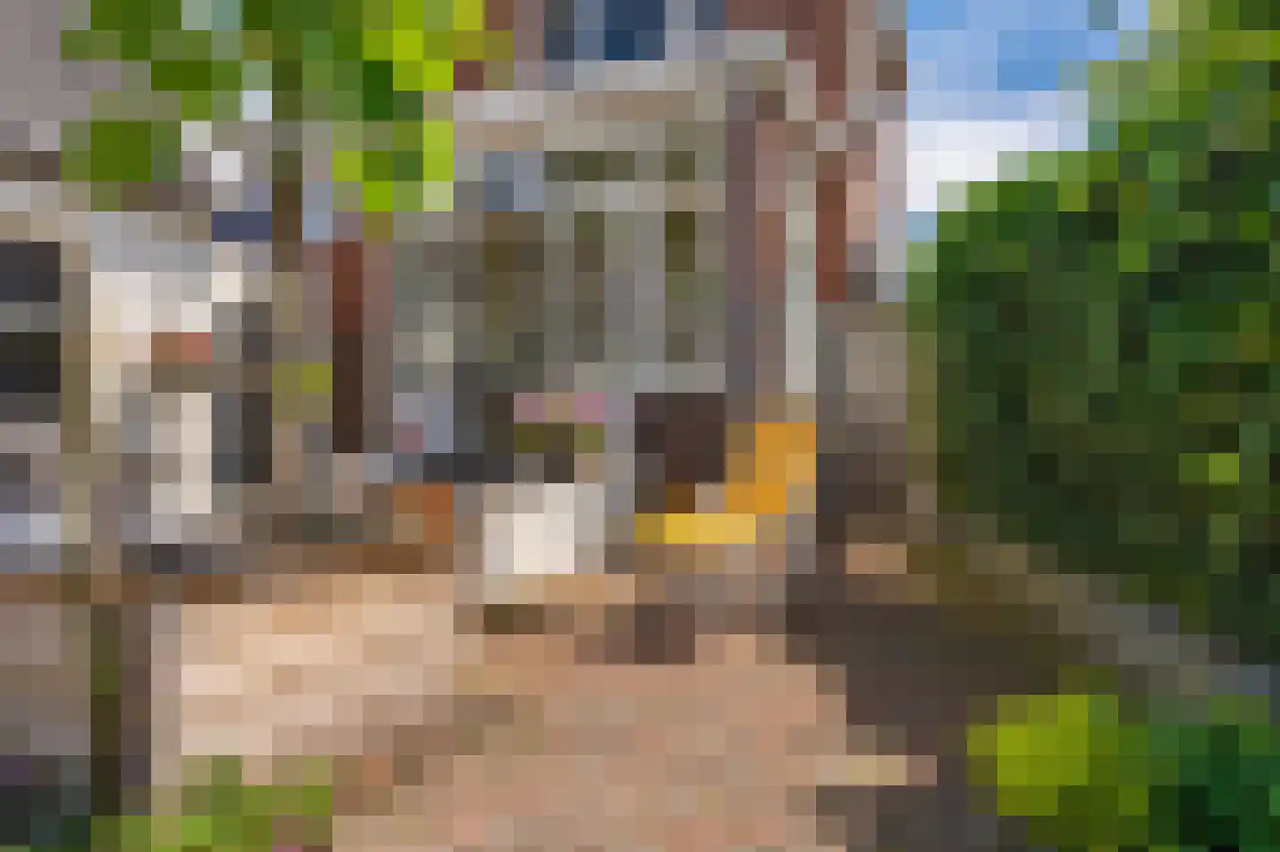 Dokter Harm Brouwerstraat D 17 Nieuwe Pekela thumbnail 51