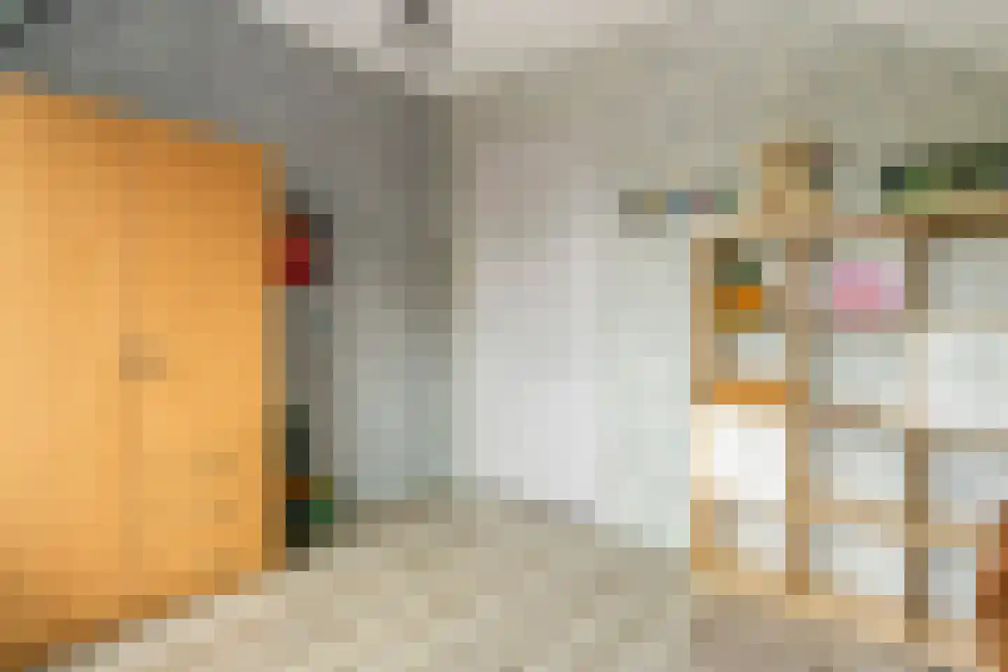 Dokter Harm Brouwerstraat D 20 Nieuwe Pekela thumbnail 34