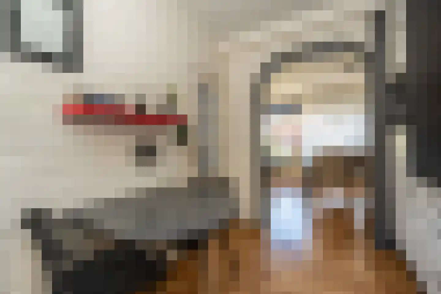 Dokter Harm Brouwerstraat D 26 Nieuwe Pekela thumbnail 10