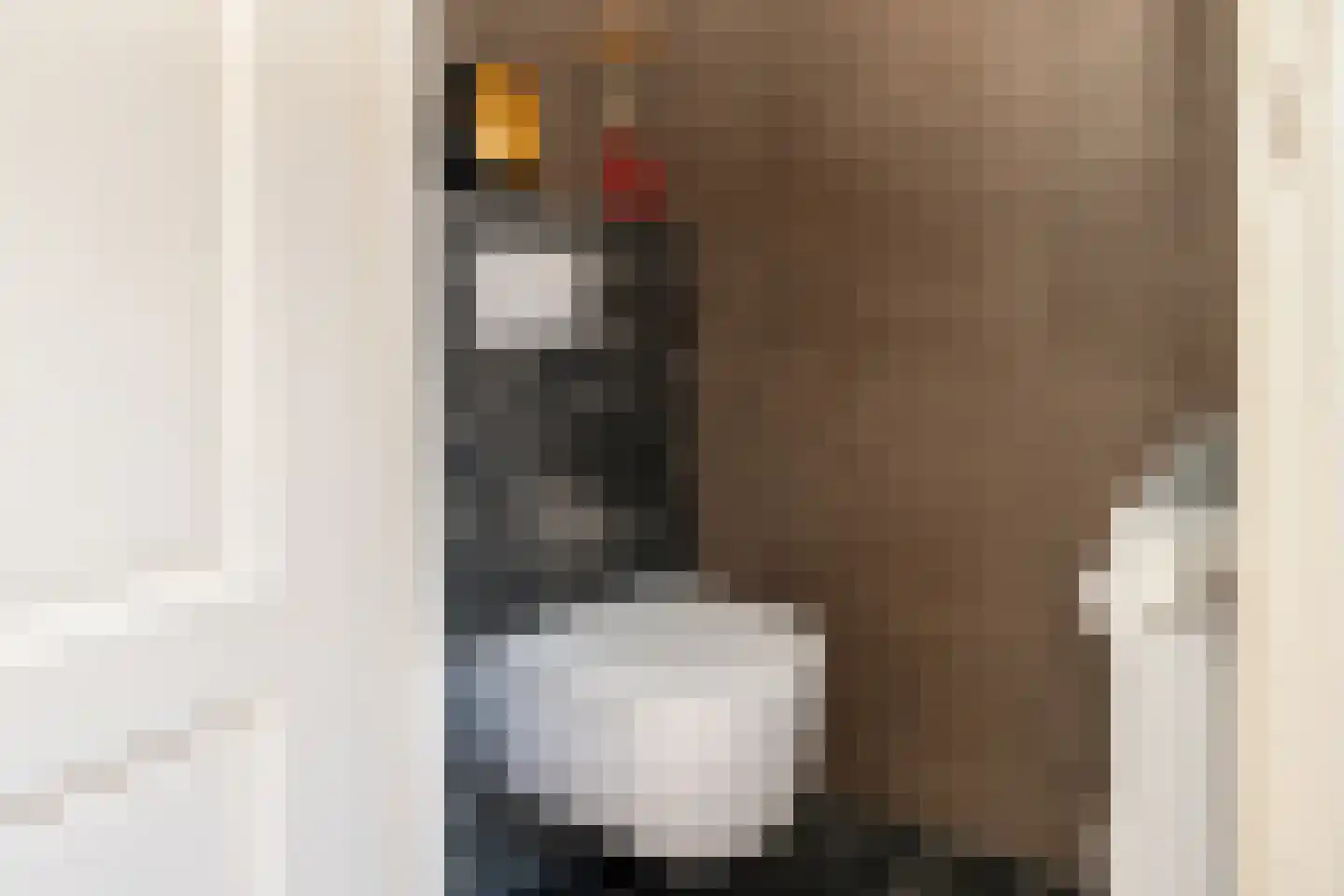Dokter Harm Brouwerstraat D 26 Nieuwe Pekela thumbnail 14
