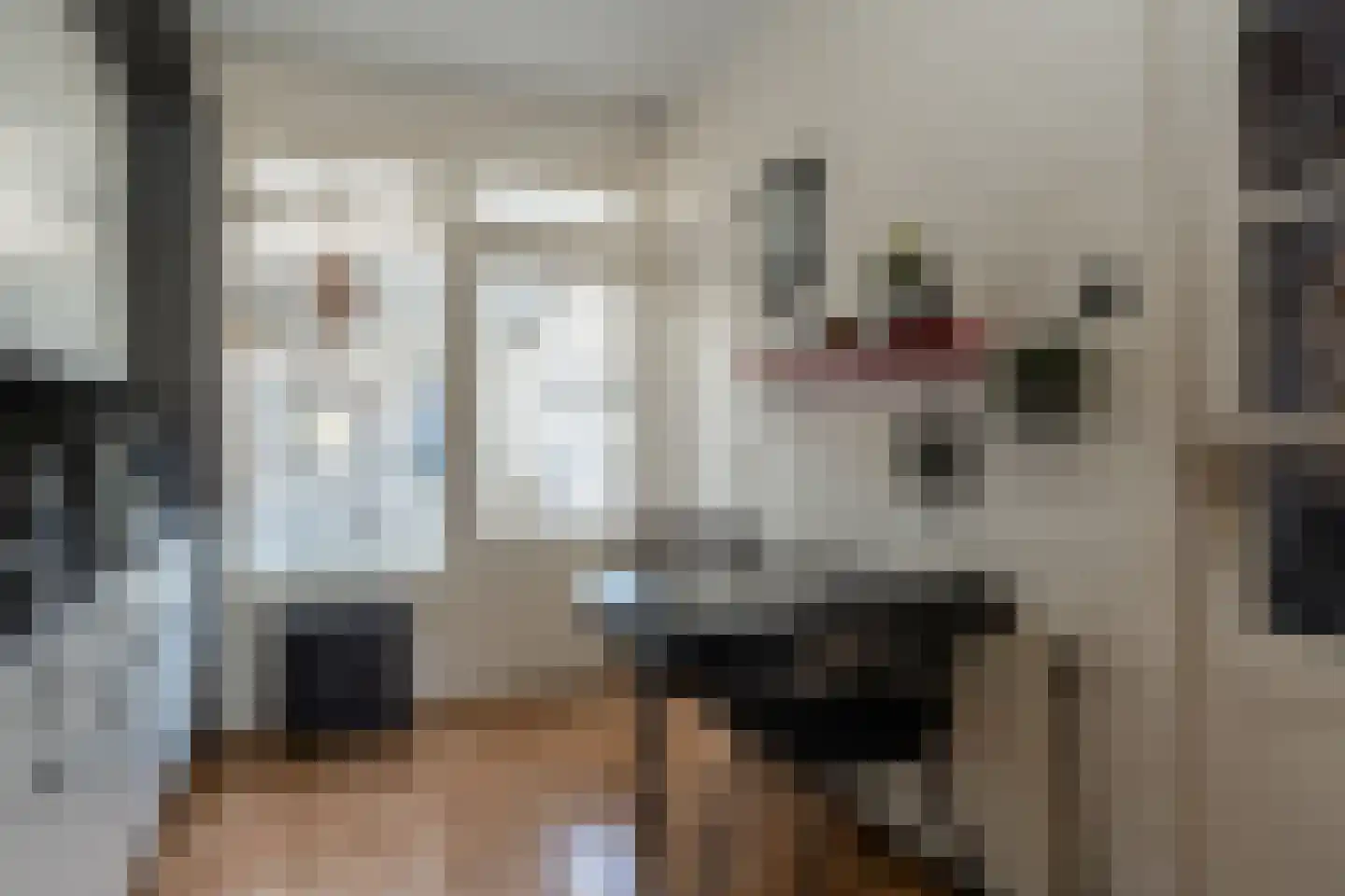 Dokter Harm Brouwerstraat D 26 Nieuwe Pekela thumbnail 8