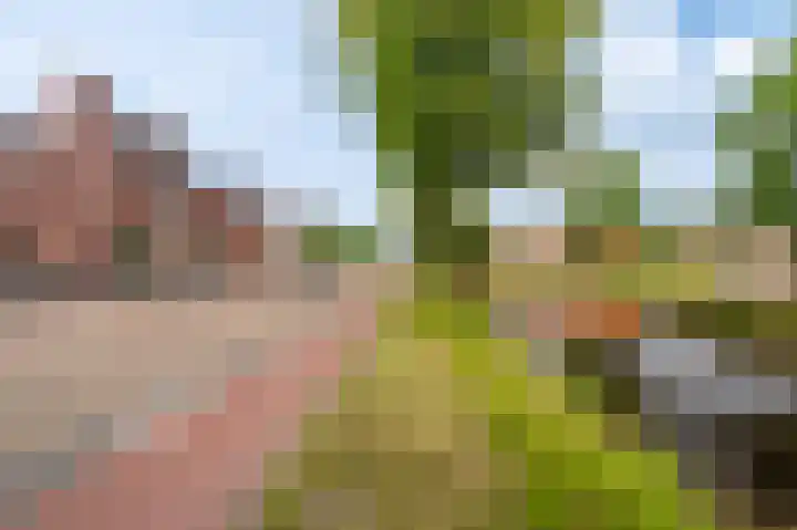 Dokter Harm Brouwerstraat D 34 Nieuwe Pekela thumbnail 11