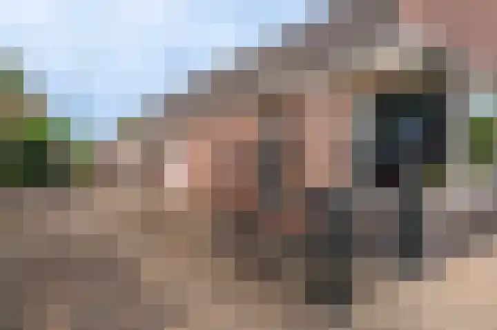 Dokter Harm Brouwerstraat D 34 Nieuwe Pekela thumbnail 5