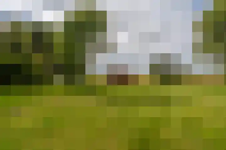 Dokter Harm Brouwerstraat D 34 Nieuwe Pekela thumbnail 9