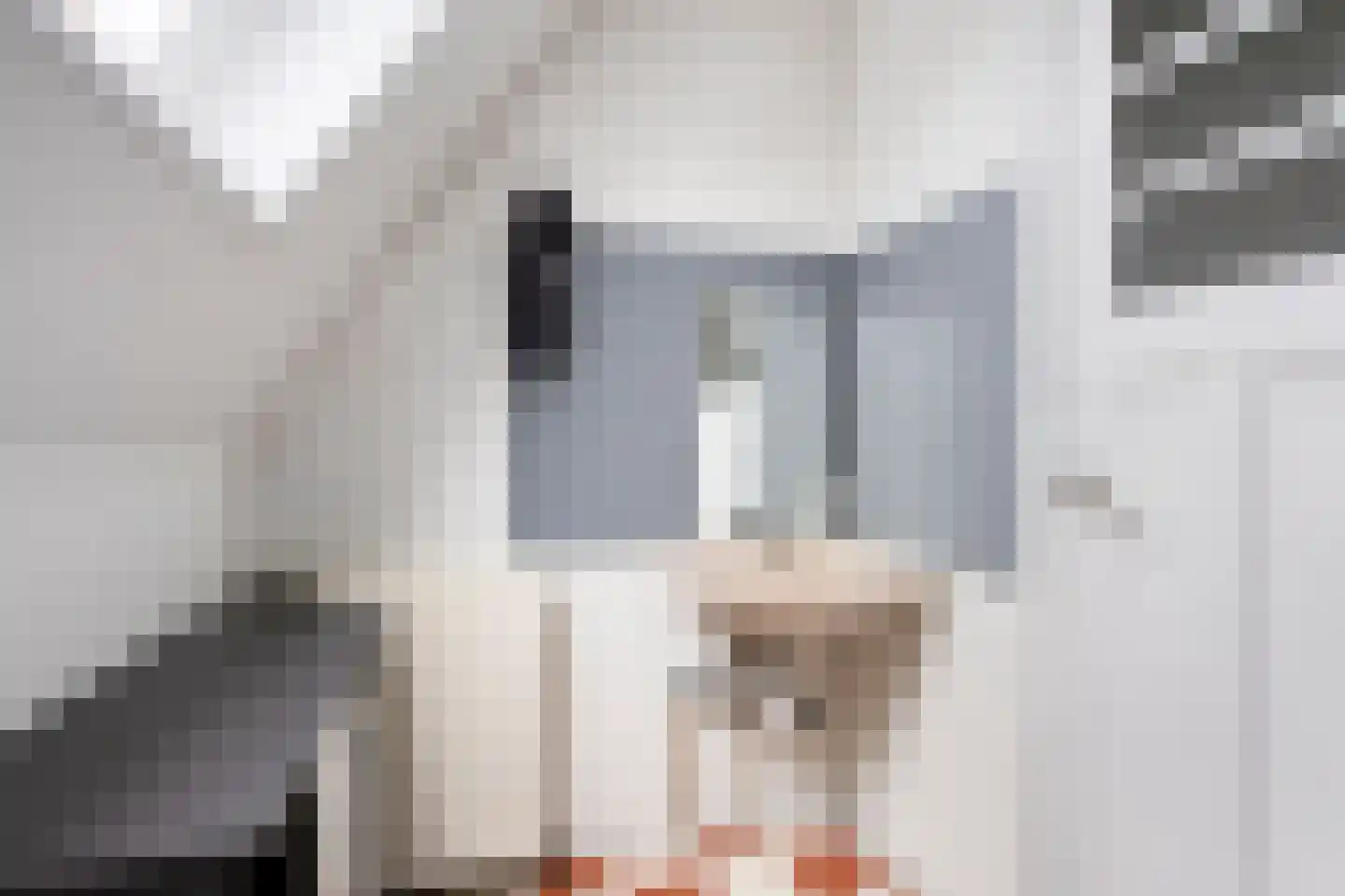 Dokter Harm Brouwerstraat D 37 Nieuwe Pekela thumbnail 11