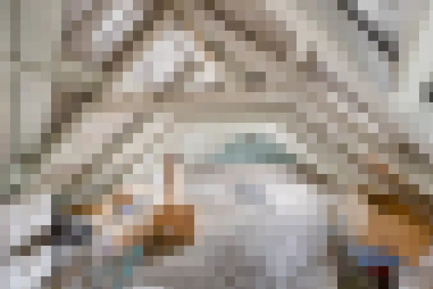 Dokter Harm Brouwerstraat D 37 Nieuwe Pekela thumbnail 15