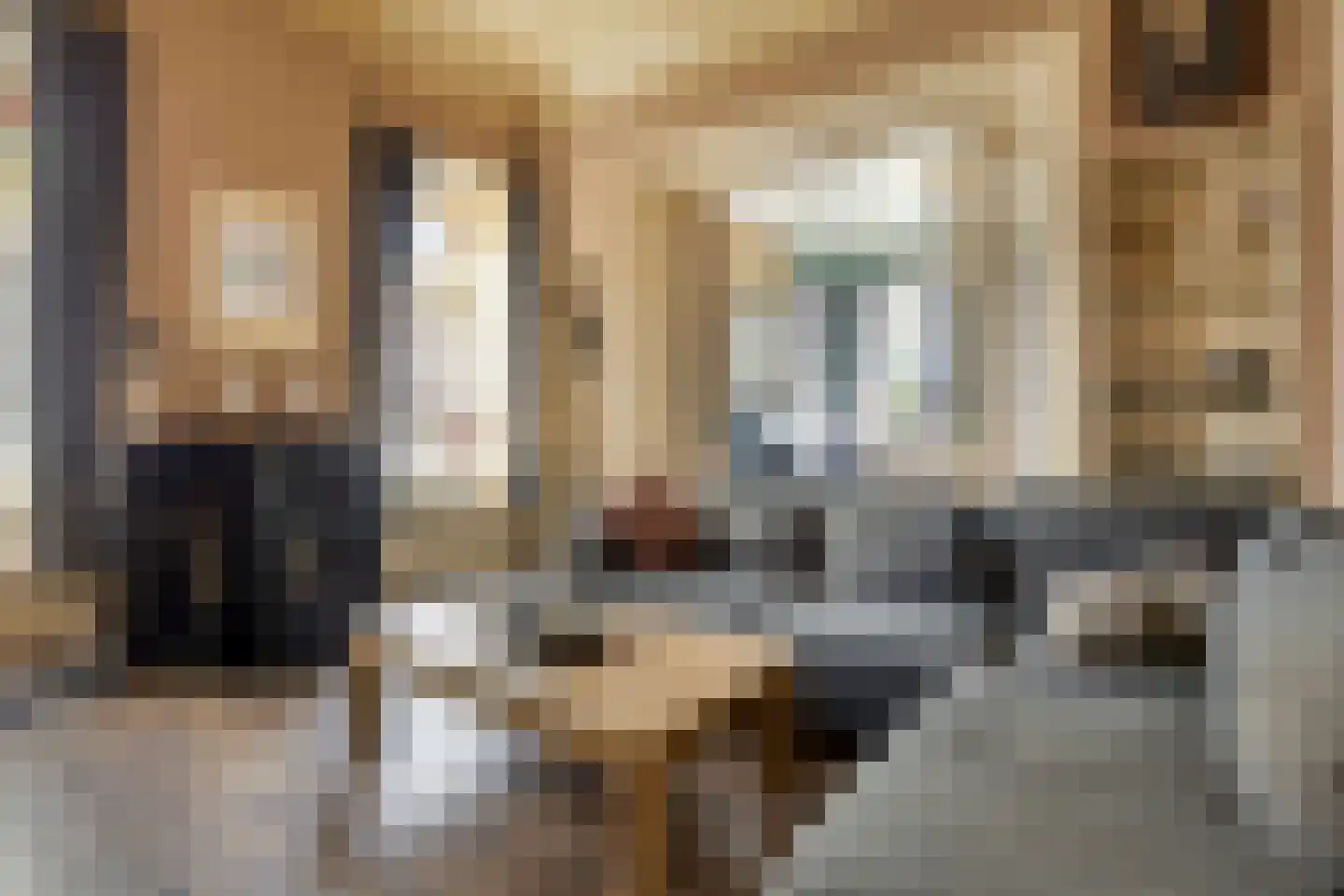 Dokter Harm Brouwerstraat D 37 Nieuwe Pekela thumbnail 18