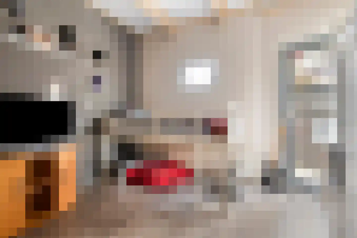 Dokter Harm Brouwerstraat D 37 Nieuwe Pekela thumbnail 28