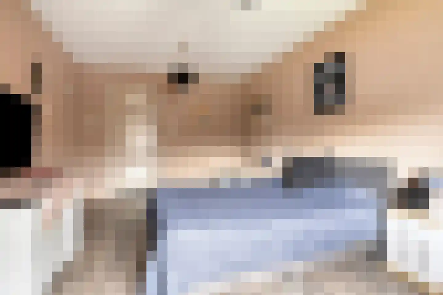 Dokter Harm Brouwerstraat D 37 Nieuwe Pekela thumbnail 39