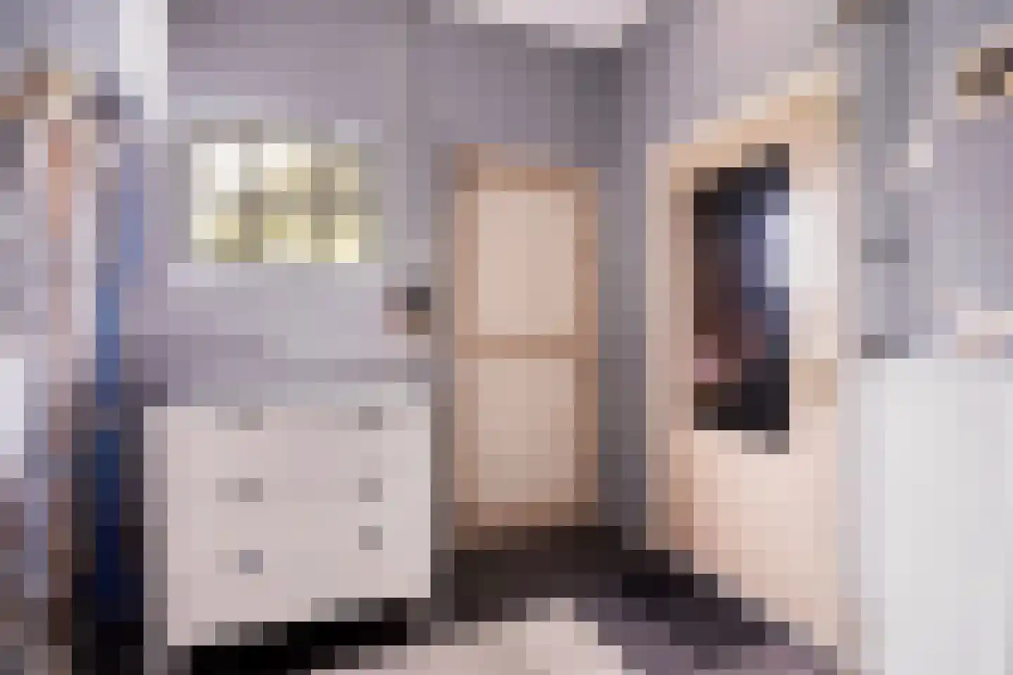 Dokter Harm Brouwerstraat D 37 Nieuwe Pekela thumbnail 48