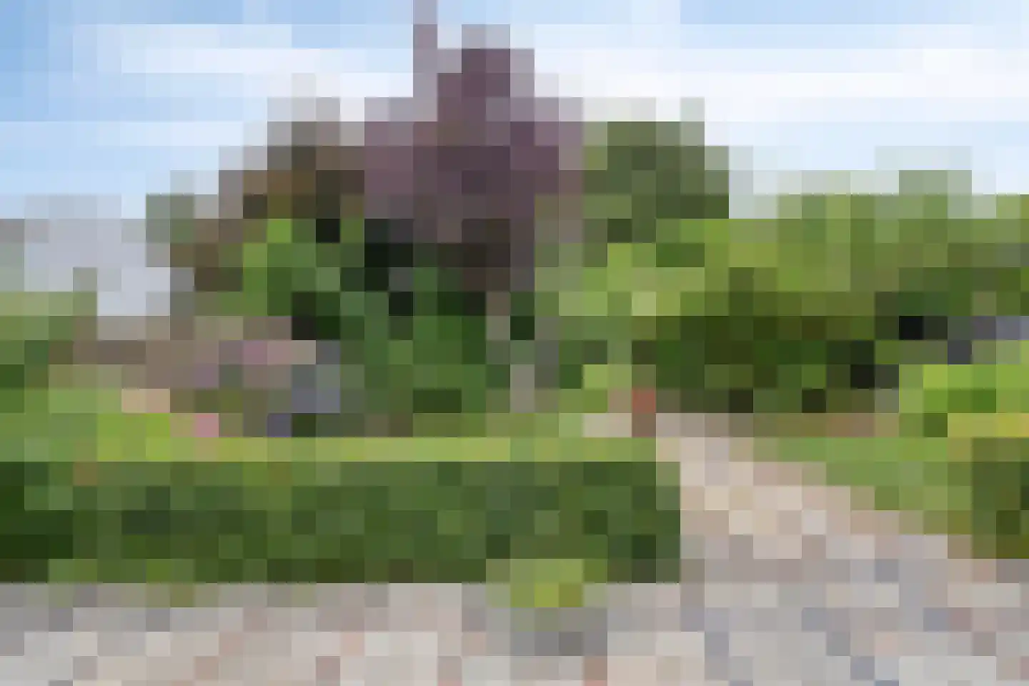 Dokter Harm Brouwerstraat D 37 Nieuwe Pekela thumbnail 52