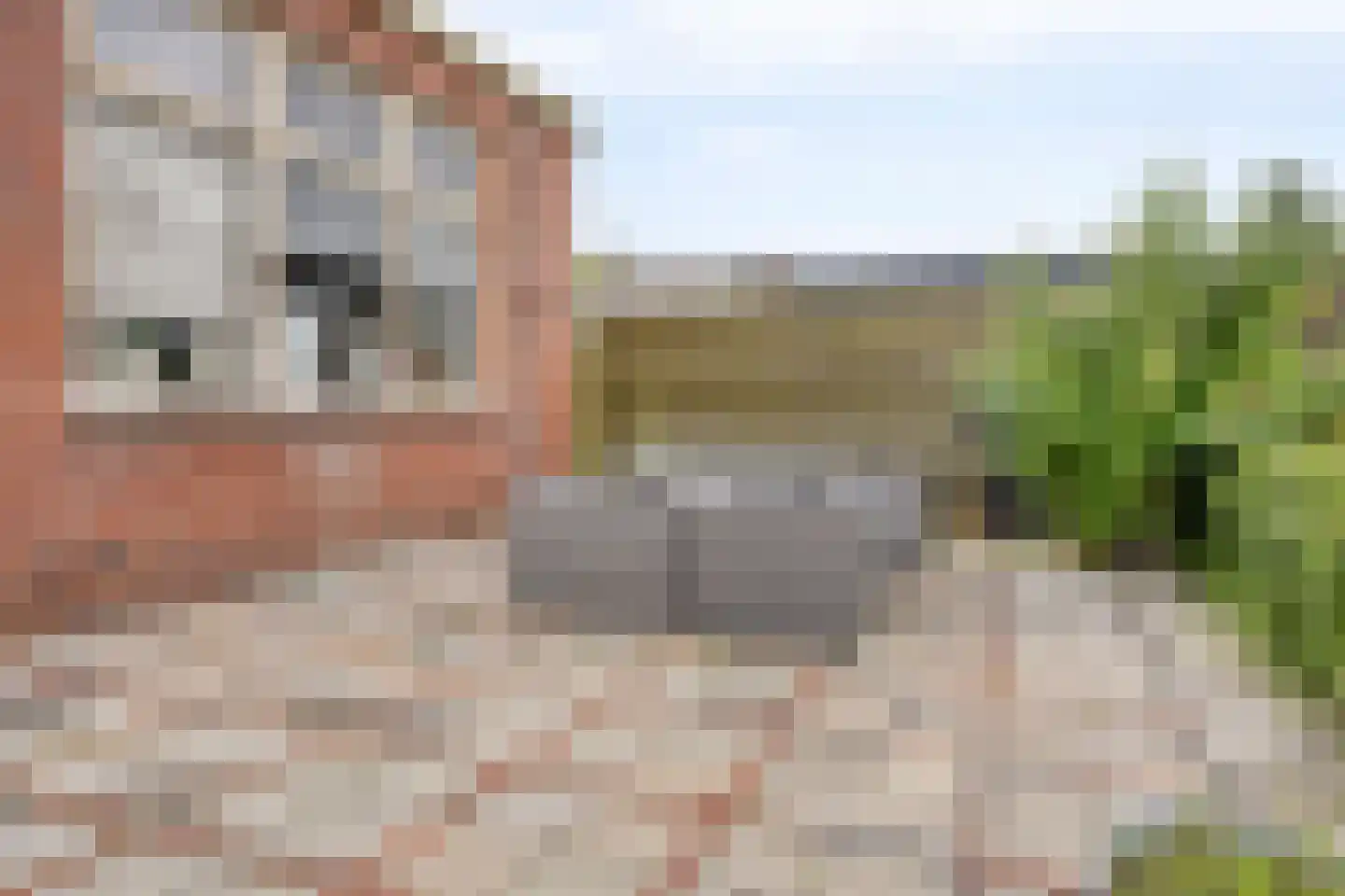 Dokter Harm Brouwerstraat D 37 Nieuwe Pekela thumbnail 54