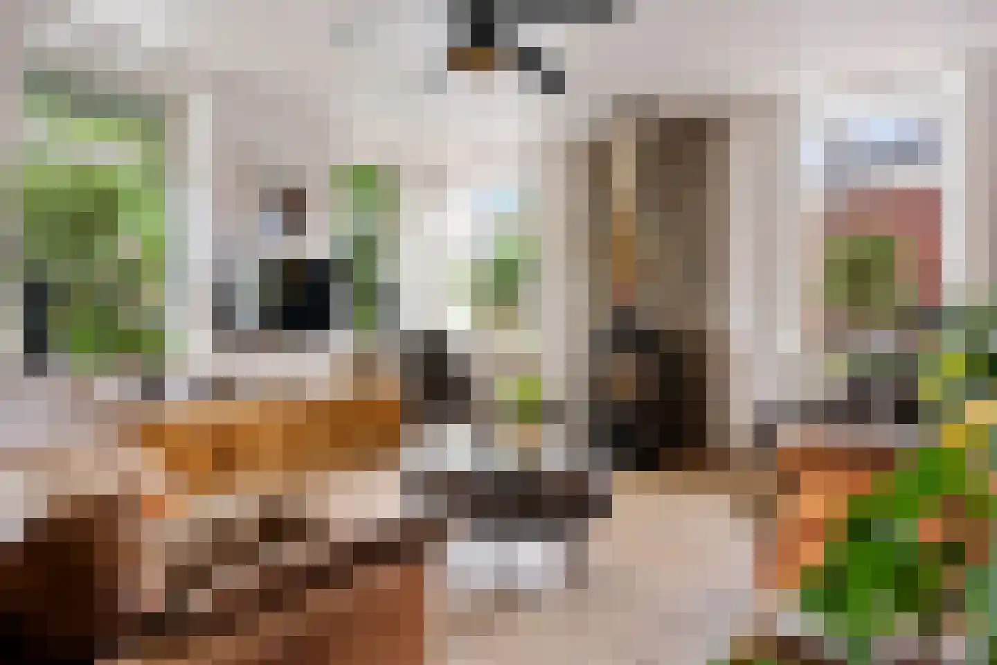 Dokter Harm Brouwerstraat D 38 Nieuwe Pekela thumbnail 15