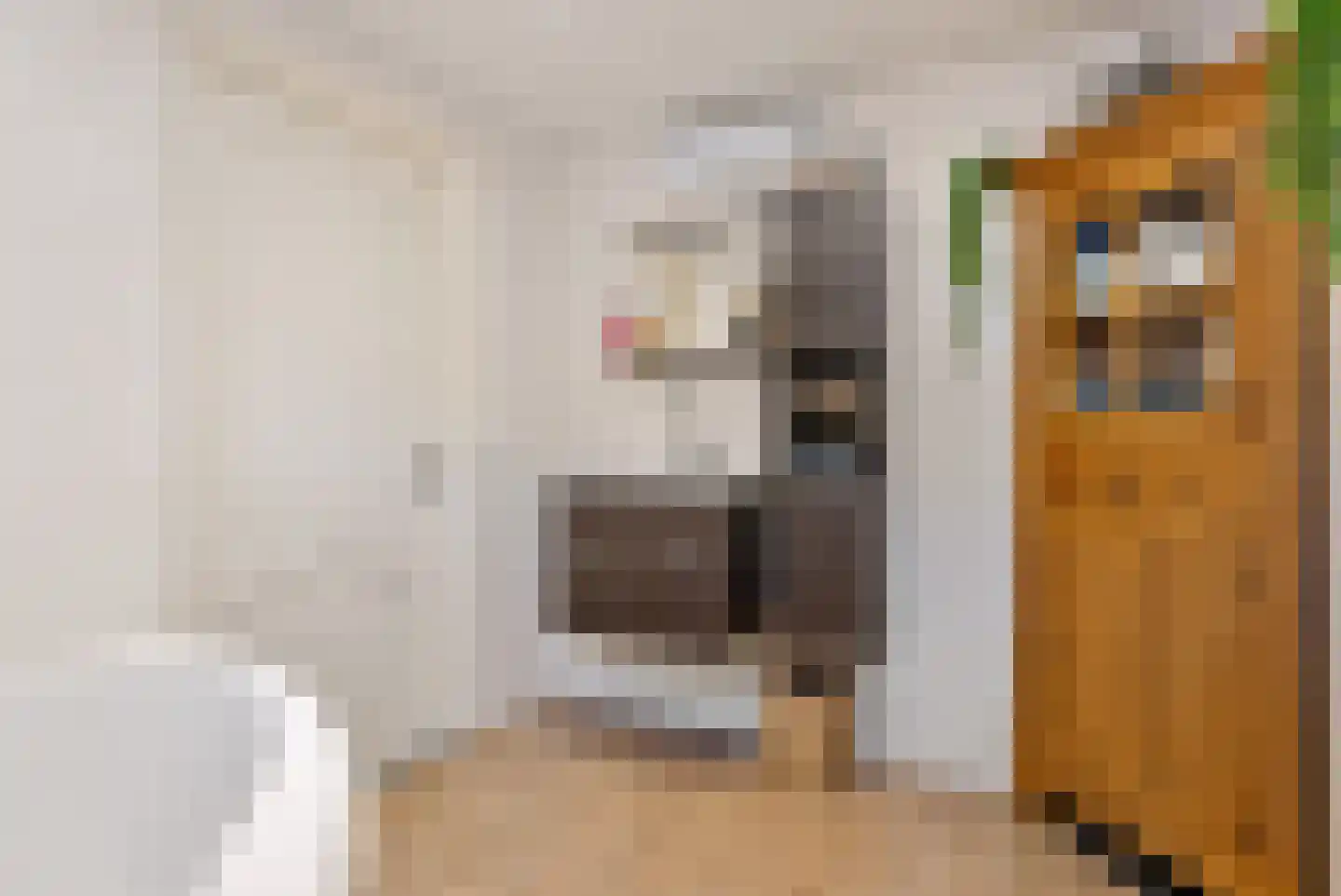 Dokter Harm Brouwerstraat D 38 Nieuwe Pekela thumbnail 28