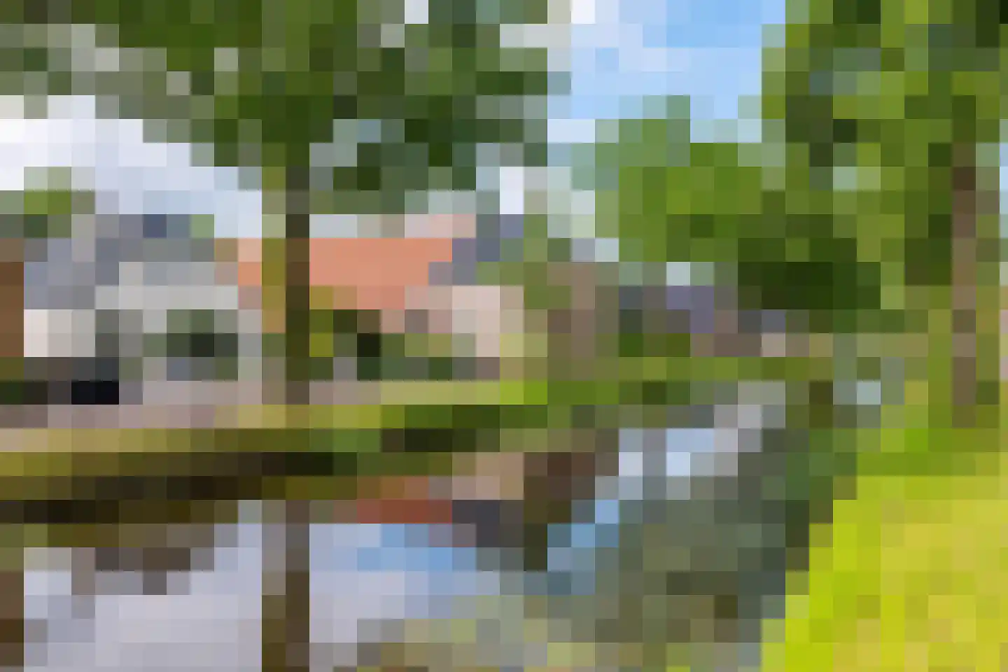 Dokter Harm Brouwerstraat D 38 Nieuwe Pekela thumbnail 5