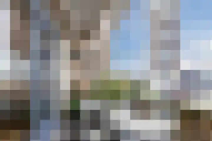 Dokter Heijptstraat 13 h Roosendaal thumbnail 13