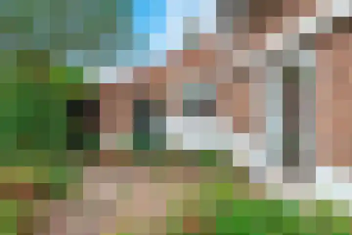 Dokter Heringalaan 8 Schoorl thumbnail 23