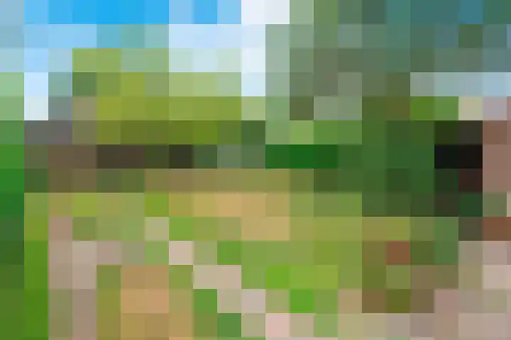 Dokter Heringalaan 8 Schoorl thumbnail 24