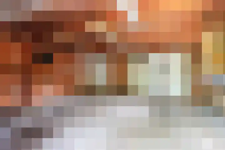 Dokter Heringalaan 8 Schoorl thumbnail 27