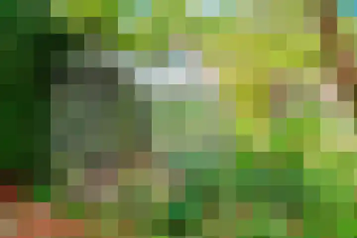Dokter Heringalaan 8 Schoorl thumbnail 28