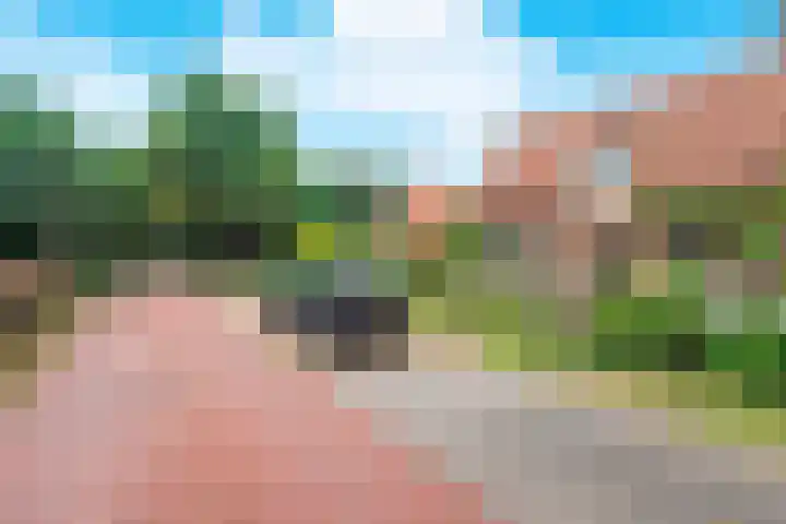 Dokter Heringalaan 8 Schoorl thumbnail 29