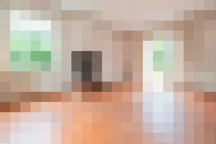 Dokter Heringalaan 8 Schoorl foto 3