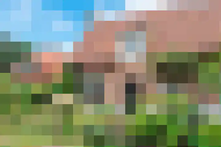 Dokter Heringalaan 8 Schoorl thumbnail 30