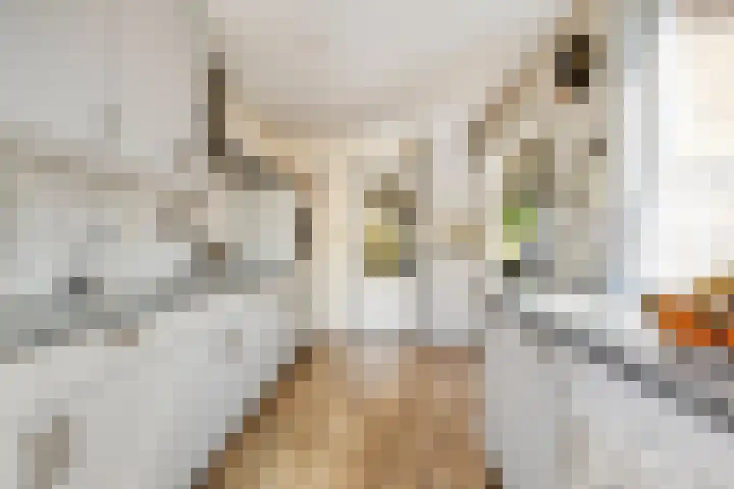 Dokter Heringastraat 23 Stompetoren thumbnail 12
