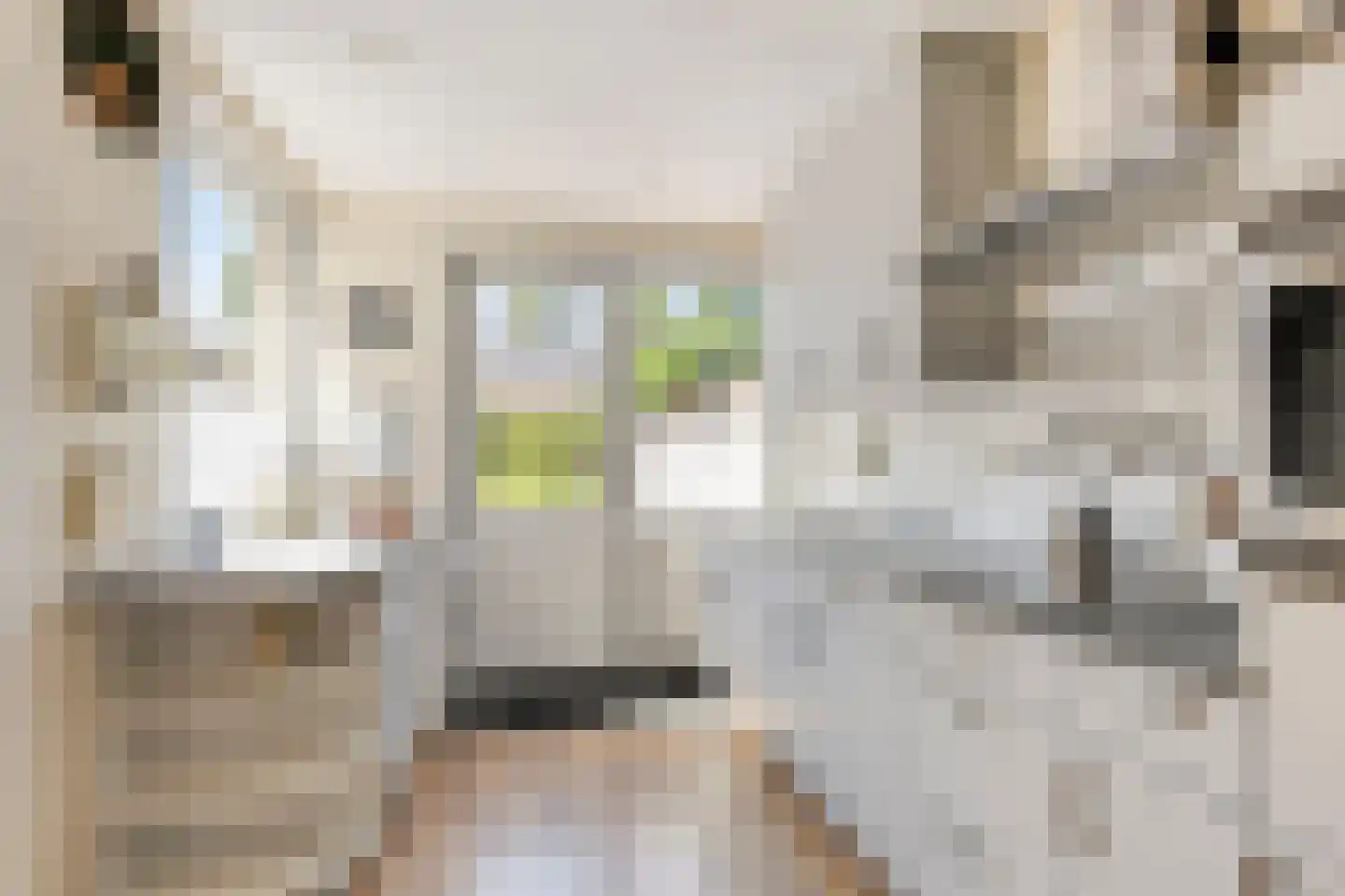 Dokter Heringastraat 23 Stompetoren thumbnail 18