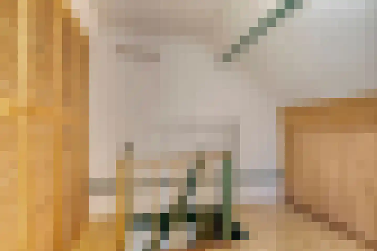 Dokter Heringastraat 23 Stompetoren thumbnail 34