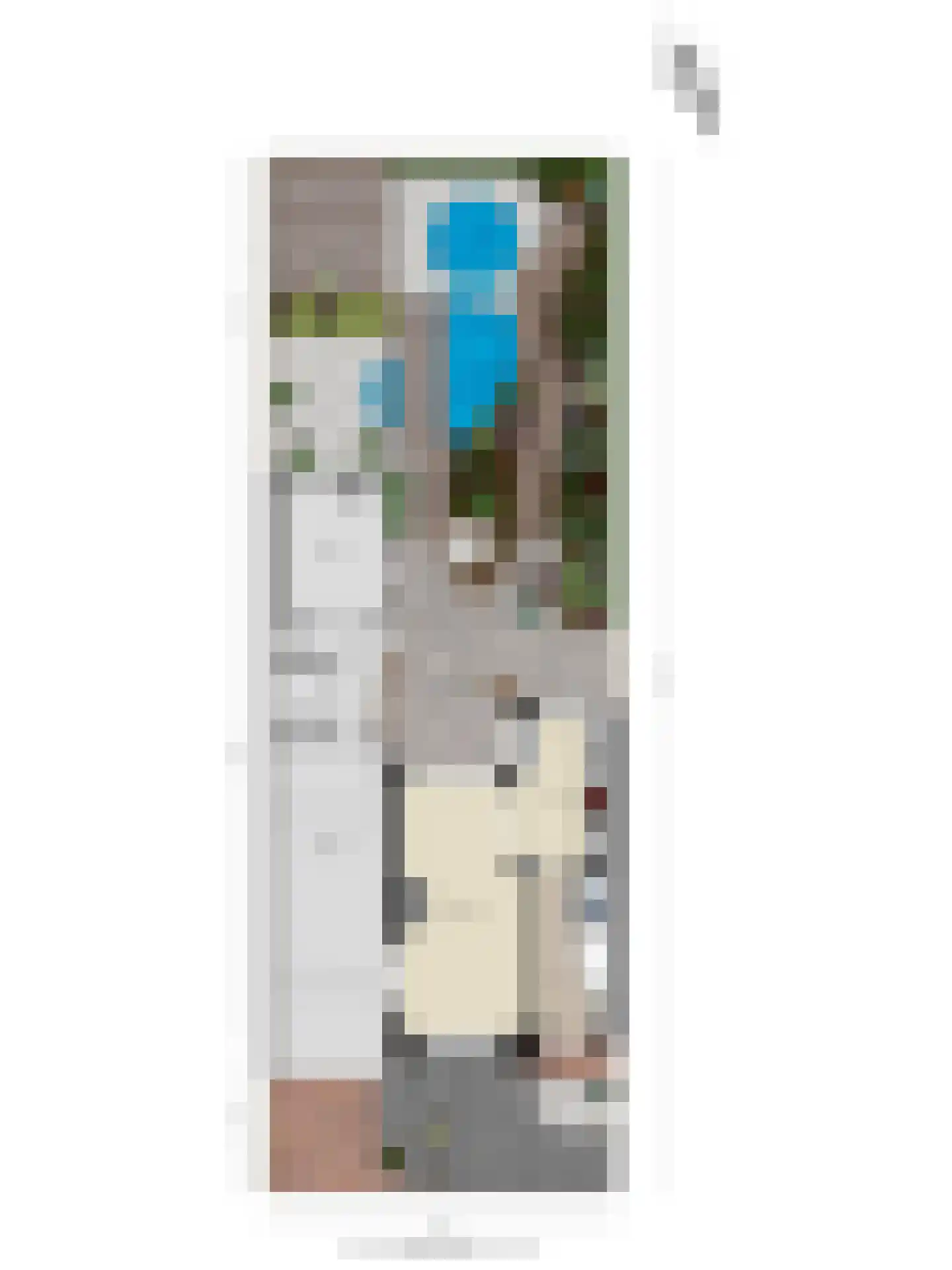 Dokter Heringastraat 23 Stompetoren thumbnail 41