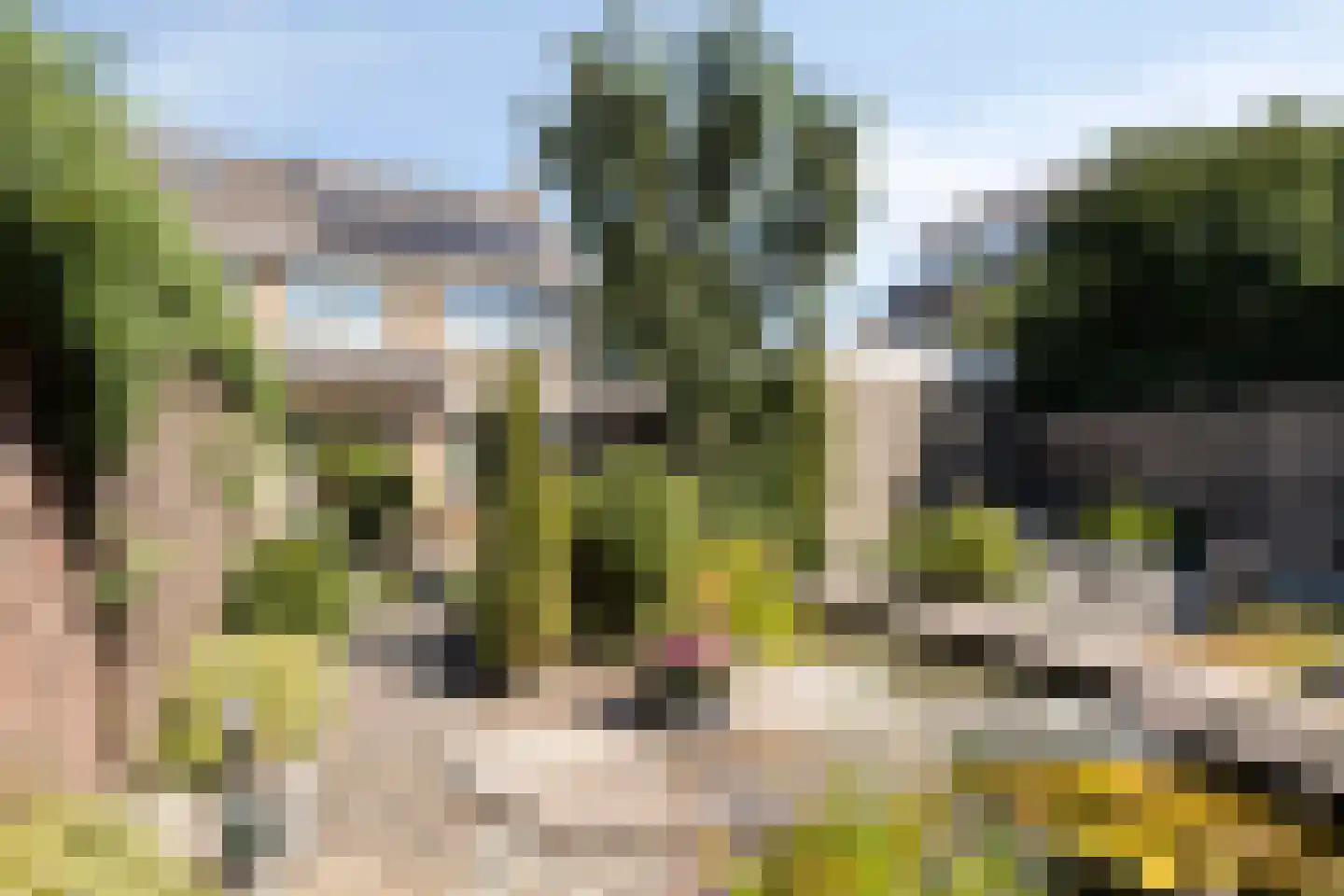 Dokter Heringastraat 23 Stompetoren thumbnail 5