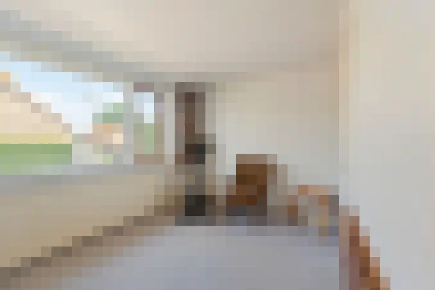 Dokter Heringastraat 3 Stompetoren thumbnail 14