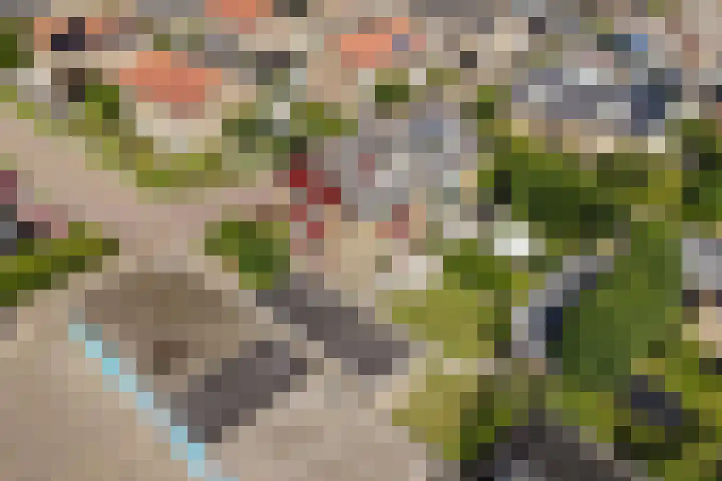 Dokter Heringastraat 3 Stompetoren thumbnail 31