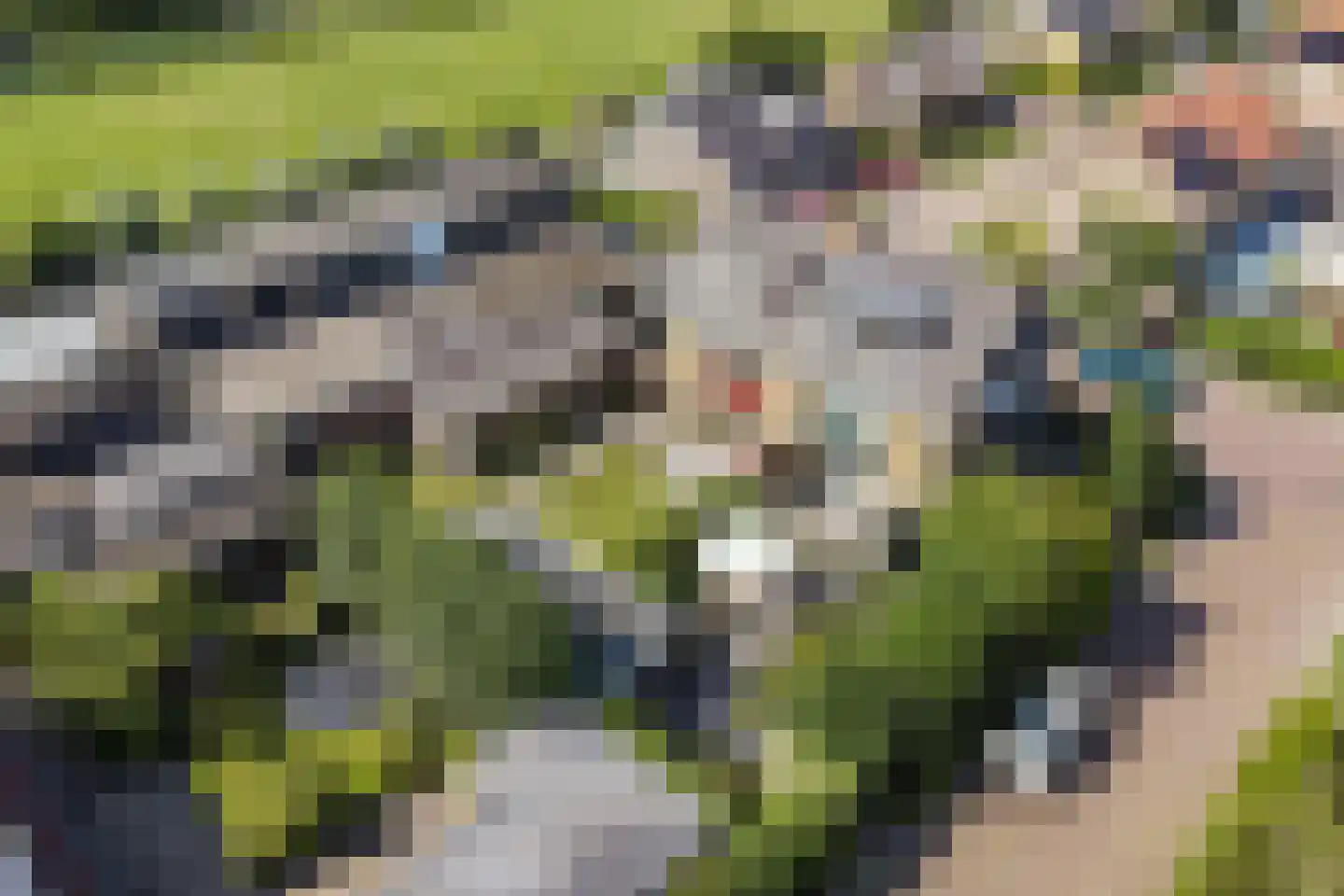 Dokter Heringastraat 3 Stompetoren thumbnail 32