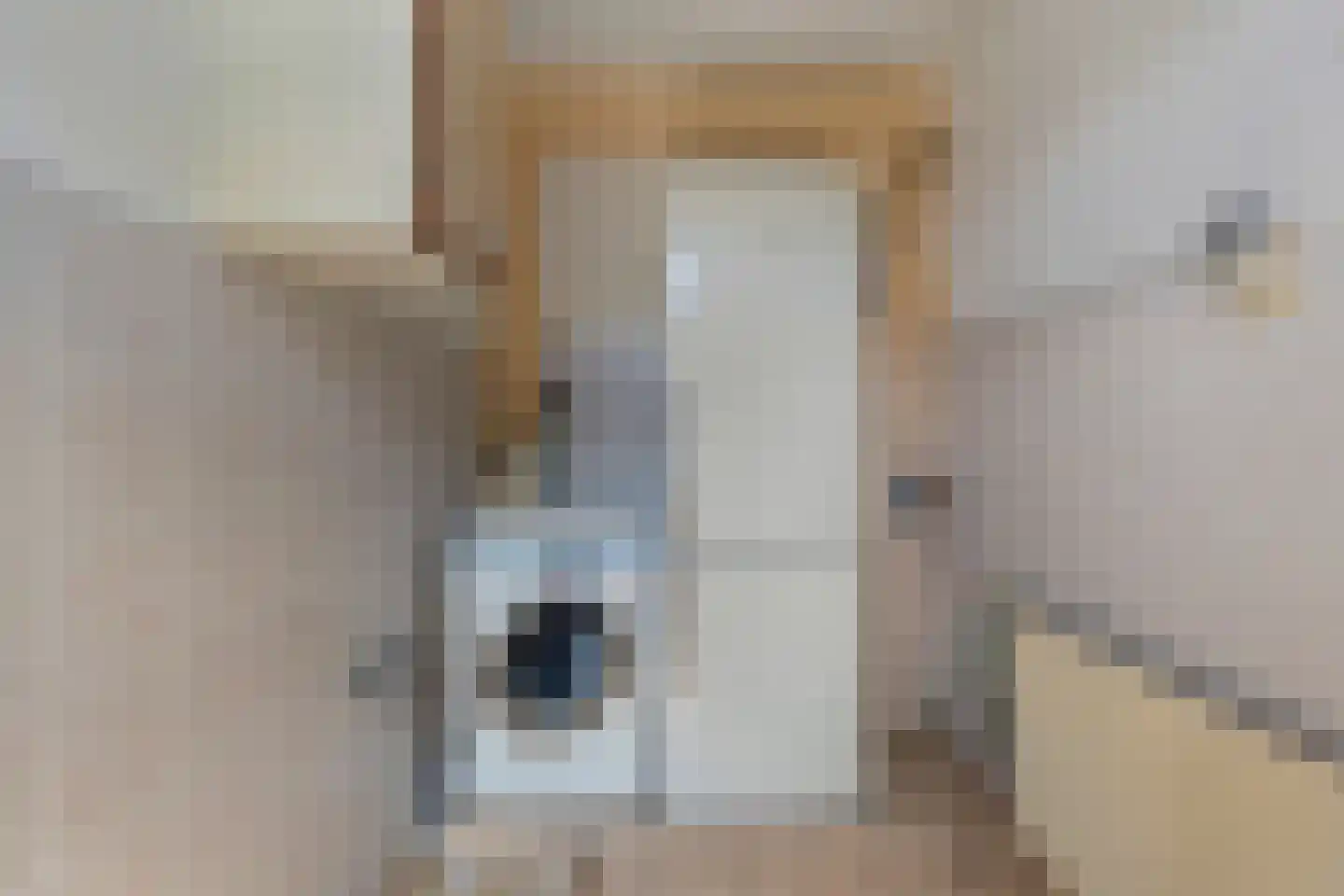 Dokter Heringastraat 3 Stompetoren thumbnail 8