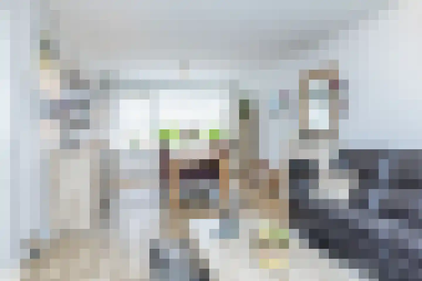 Dokter Hermansstraat 16 Schimmert thumbnail 8
