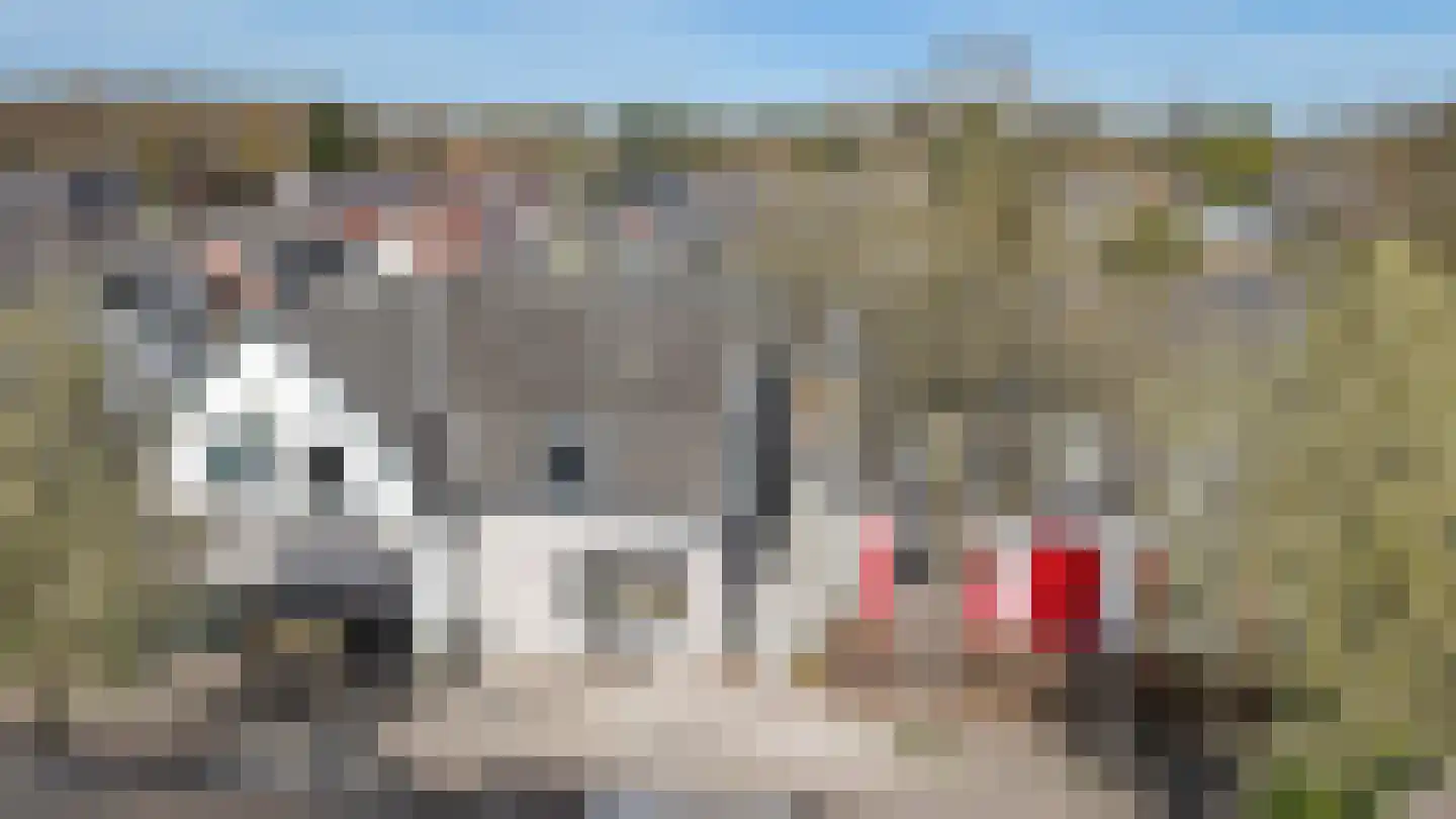 Dokter Hermansstraat 19 Driebergen-Rijsenburg thumbnail 46