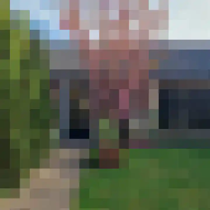 Dokter Hermansstraat 31 Driebergen-Rijsenburg thumbnail 39